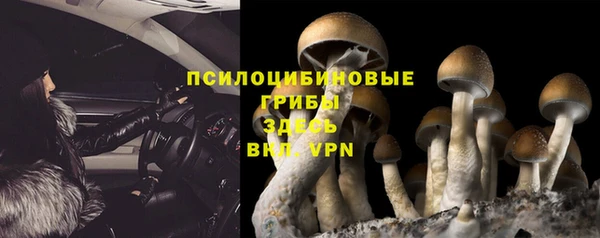 спайс Алексин