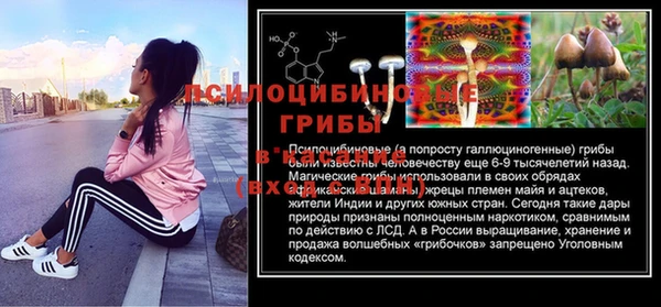 спайс Алзамай