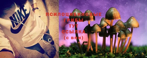 спайс Алексин